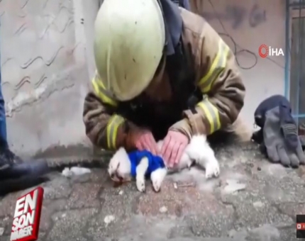 مواطن تركي يجري تنفساً اصطناعياً لـ كلب بهدف إنقاذه