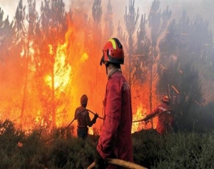 البرق يقتل 30 صينيا بحريق الغابات