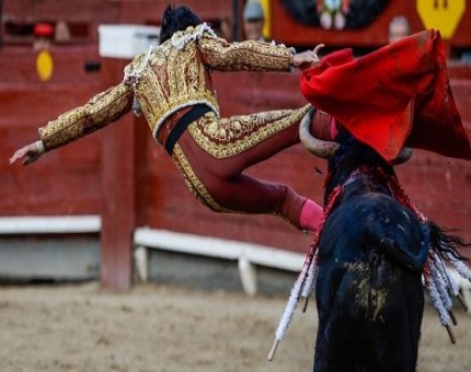6 مصابين بمهرجان الثيران الإسباني