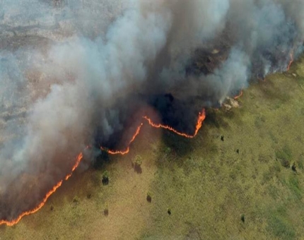 حريق يدمر 2500 هكتار من أراضي محمية بالمكسيك