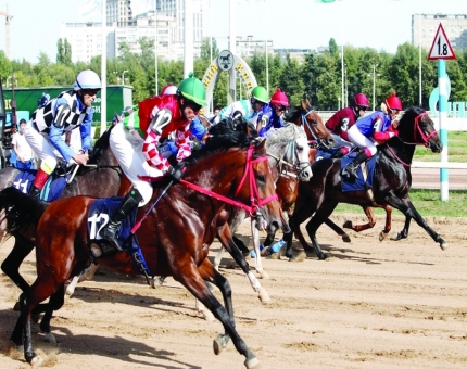 8 خيول تتنافس على كأس رئيس الدولة بروسيا
